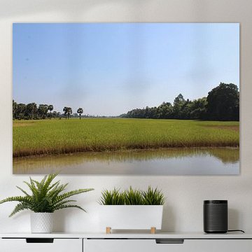 Umgebung von Ankor Wat von Sven Hilderink