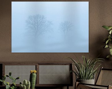 Paysage tranquille dans la brume sur Zwoele Plaatjes