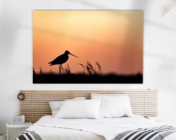 Silhouette unseres Nationalvogels, der Uferschnepfe (Black-tailed Godwit)