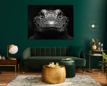 Krokodil_3 von Bianca Bakkenist