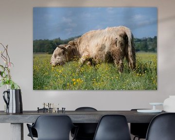 Schotse Hooglanders in een bloemenweide van Ulrike Leone