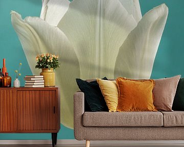Simplicity in soft colours: A tulip with turquoise background by Marjolijn van den Berg