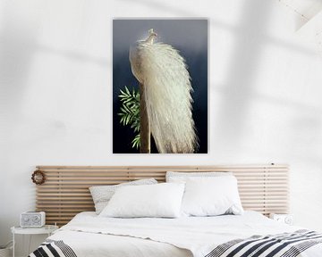 White peacock in the moonlight van Postergirls