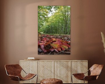 A country road in autumn by Claude Laprise