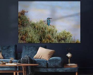 Eisvogel auf rotem Meer, Eisvogel rotes Meer von Corrine Ponsen