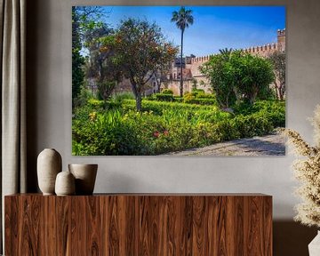 Garten in Rabat, Marokko von Patricia Hofmeester