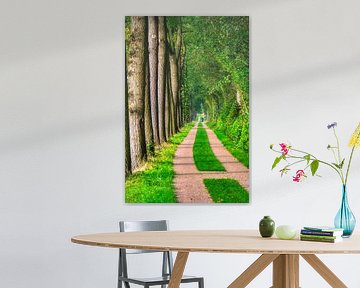 Schöne Wanderwege durch den Wald...