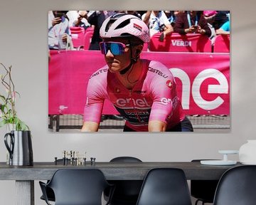 Remco Evenepoel roze trui Giro 2023 van FreddyFinn