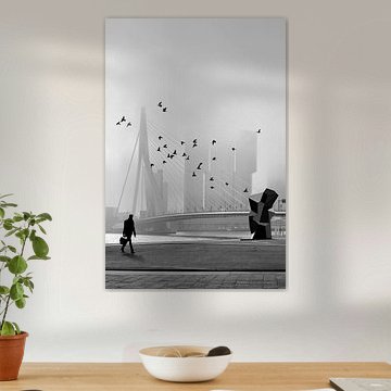 Matin brumeux - Pont Erasmus dans le brouillard (vu à vtwonen) sur Hans Zijffers