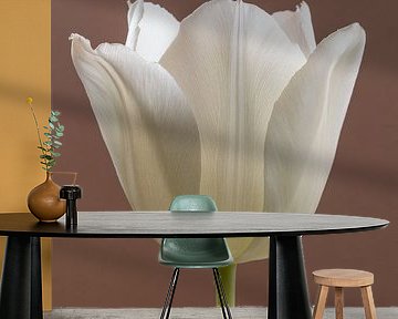 Simplicity: A tulip with a mocha (Moccha) coloured background by Marjolijn van den Berg