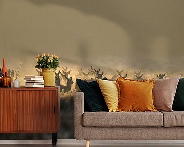 Magical this pack of red deer in the early morning by Marielle Van den Elshout