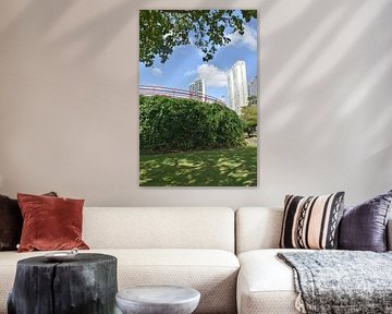 View of the promenades Cinta Costera in summer