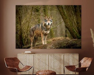 Meeting the wolf by Marielle Van den Elshout