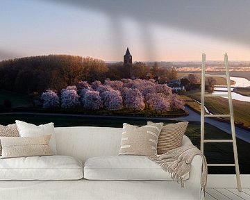 Netherlands in bloom by Ashwien Jurawan
