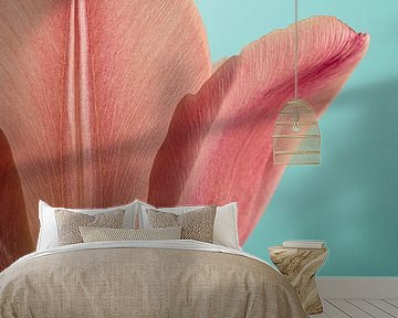 More than half a tulip by Marjolijn van den Berg