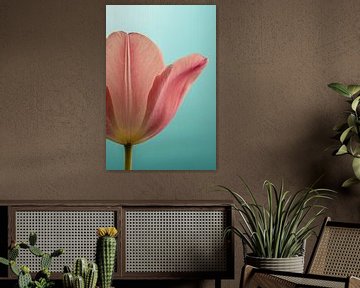 Mehr als eine halbe Tulpe von Marjolijn van den Berg