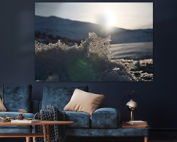 Haute montagne norvégienne, montagnes et paysages enneigés sur Martin Köbsch