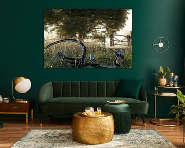 Close-up van een ligfiets in een bloemenweide van Besa Art