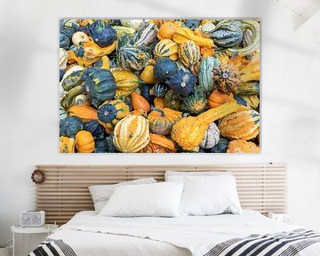 Colourful ornamental pumpkins by Dieter Meyer