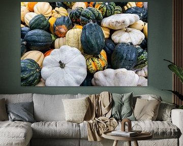 Kurbis varieties Patisson, Sweet Dumpling, Accorn and Halloween by Dieter Meyer