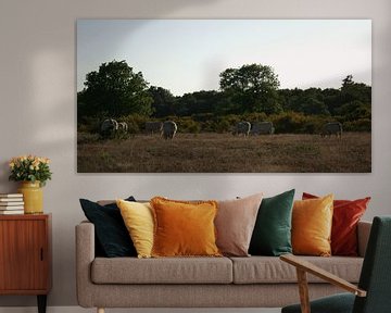 Koeien kudde van LM fotografie