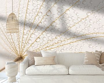 Rural simple calm: Caught in a web of the Tragopogon by Marjolijn van den Berg