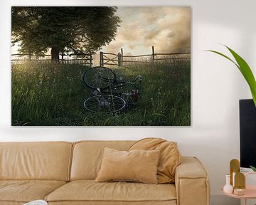 Een ligfiets op een mooie bloemenweide van Besa Art