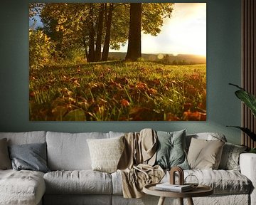 À l'automne au jardin sur Claude Laprise
