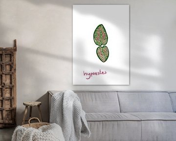Hypoestes Leaves - Series 'Flora' by Jeroen Visschers