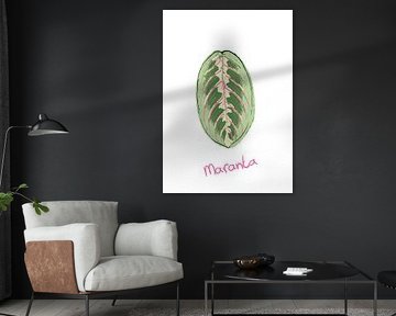 Leaf Maranta - Series 'Flora by Jeroen Visschers