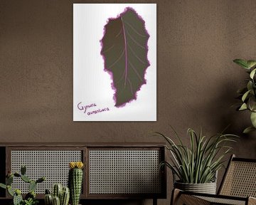 Leaf Gynura Aurantiaca - 'Flora' series by Jeroen Visschers