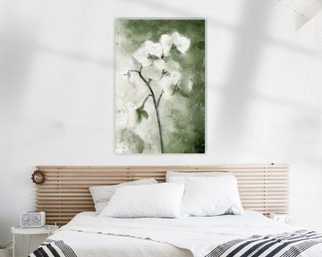 White Orchid | Green by Kanzo