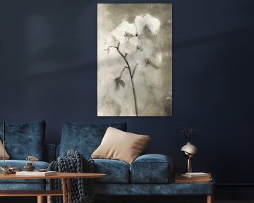 White Orchid | Taupe by Kanzo