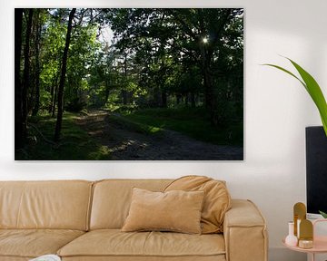 Nature boisée sur LM fotografie