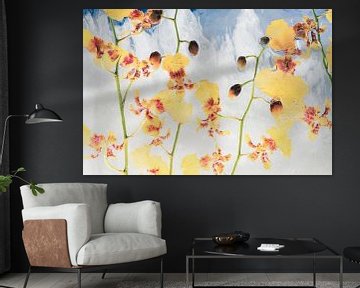 Oncidium in ijs 2 van Marc Heiligenstein