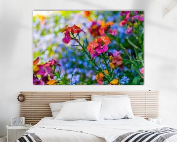 Celandine - Erysimum Constante vrolijkheid van Mixed media vector arts