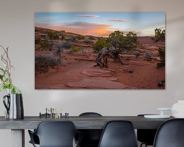 Lumière du soir dans le parc national d'Arches, Utah sur Rietje Bulthuis