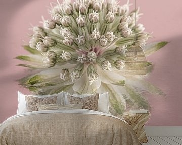 Simple still life in pink: Reflection of a Zeeland button by Marjolijn van den Berg