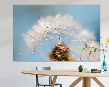 Peluche de pissenlit, Tendresse en gouttes sur Hilde Remerie Photographie et art numérique