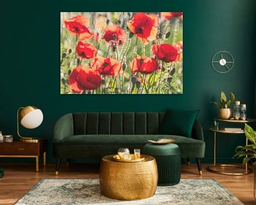 Coquelicots au bord de la route sur Karin de Jonge
