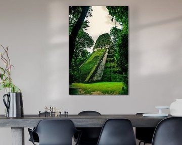 Maya tempel in de jungle van Nick Davids