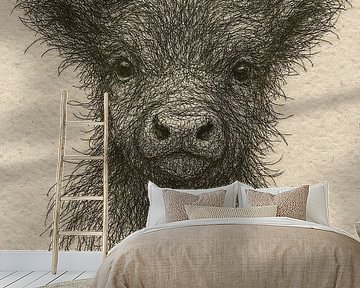 Wire portrait young Scottish Highlander (calf baby cow soft fluffy cute cute nursery) by Natalie Bruns