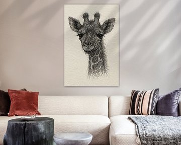 Wire portrait young giraffe (African zoo long neck playful tender friendly animal) by Natalie Bruns