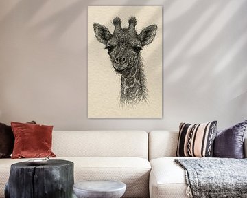 Draad portret jonge giraffe (Afrikaans dierentuin lange nek speels teder vriendelijk dier)