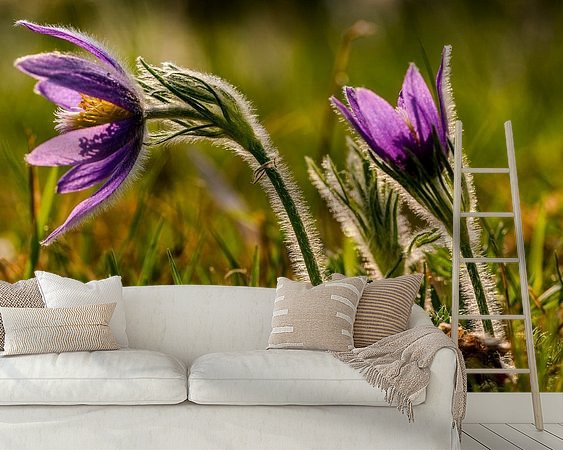 Raumvorschau