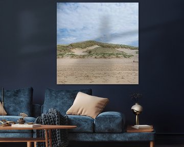 Nederlandse kust in een vierkantje: Zand, Strand en duinen van Marjolijn van den Berg