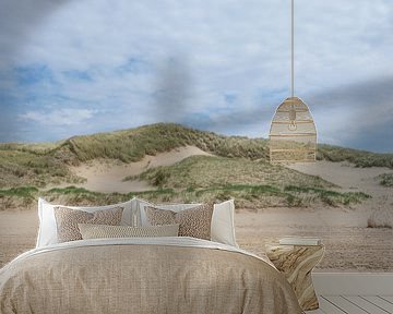 Nederlandse kust in een vierkantje: Zand, Strand en duinen van Marjolijn van den Berg