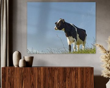 Koe, koningin der dieren van BHotography