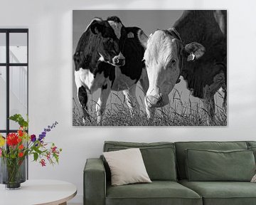 Koe zwartwit van BHotography