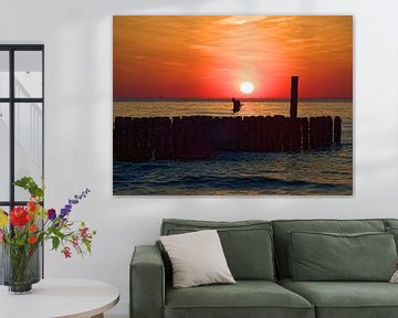 Reiger bij de ondergaande zon aan zee van BHotography